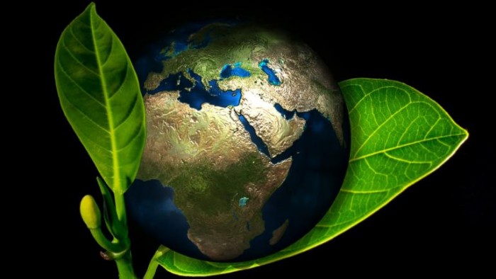 Мировое озеленение
