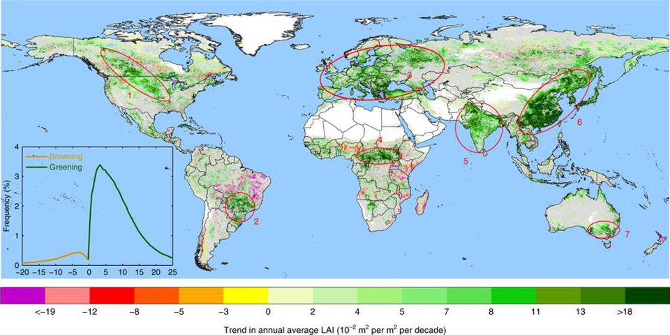 Самые зеленые районы мира