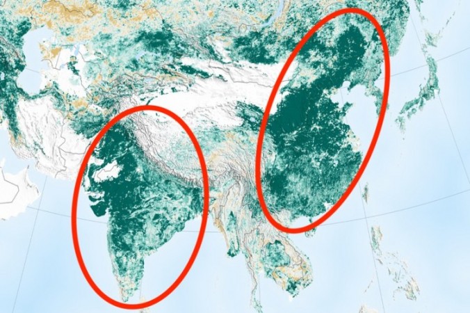 Зеленые Китай и Индия