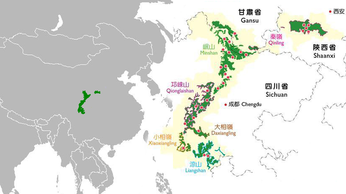 Ареал обитания панд. Больше в дикой природе их нигде нет. Розовыми точками отмечены заповедники. Изображение: Wikimedia, Macaupanda.org.mo