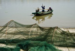 Китай на 10 лет запретил рыбачить на реке Янцзы