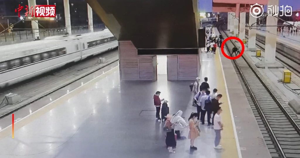 Китаянка спрыгнула с железнодорожной платформы во время ссоры с пьяным бойфрендом
