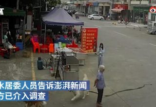 В Китае пенсионерка погибла из-за бегущей собаки и ее длинного поводка
