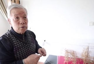 Китайский пенсионер сделал мини-колесницу Терракотовой армии из бамбуковых палочек. Лошади и возничий двигаются