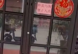 Китайское интернет-кафе запретило вход «курьерам и собакам». Общественность заставила извиняться