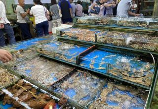 Превентивные меры: в Шанхае начали проводить ПЦР-тесты рыбам