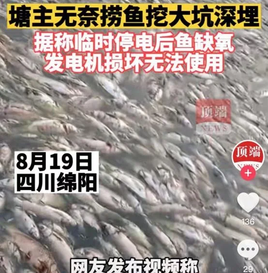 В провинции Сычуань 10 тыс. кг рыбы погибло из-за жары
