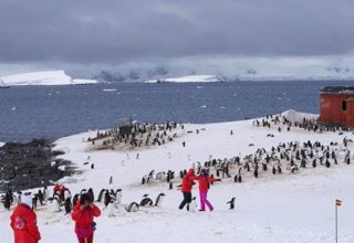 China-tourists-in-Antarctica-e1518197020577.jpeg