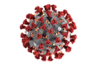 Coronavirus-CDC-1600x900.jpg