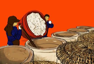 Rice-wine-illustration-by-Alex-Santafe-1536x864-1.jpg