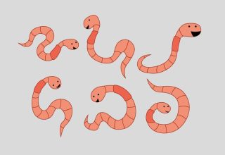 cute-earthworms-vector.jpg