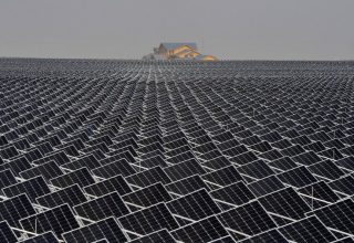 solar-panels-in-China_Reuters_RTS12WKW-1.jpg