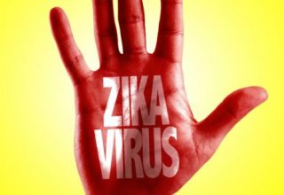 zikavirus.jpg